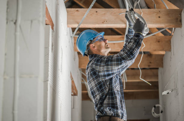 Best Electric Panel Repair  in Guntown, MS